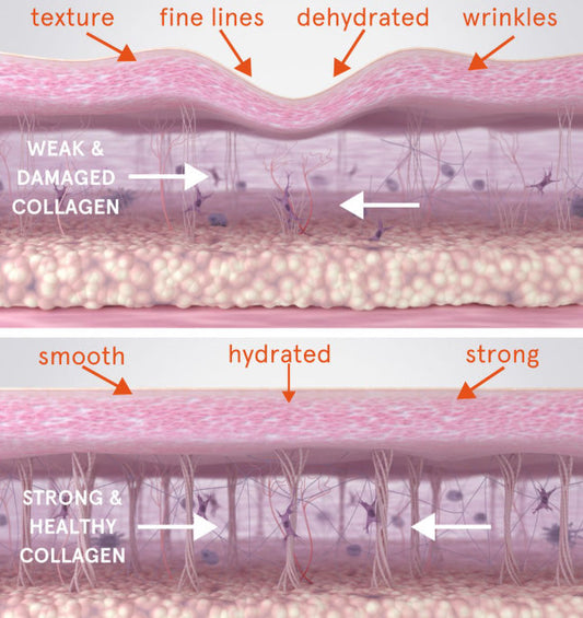 collagen serum after microneedling