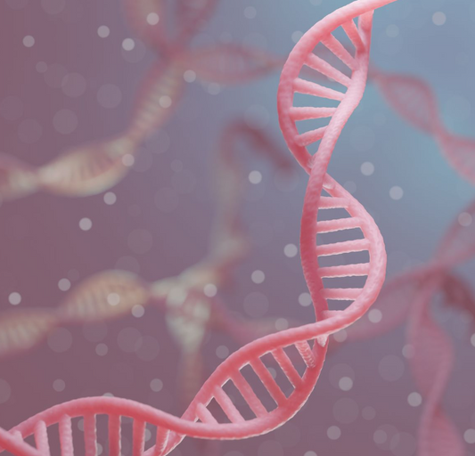 7 Proven Benefits of Using Recombinant Collagen in Your Skincare Routine