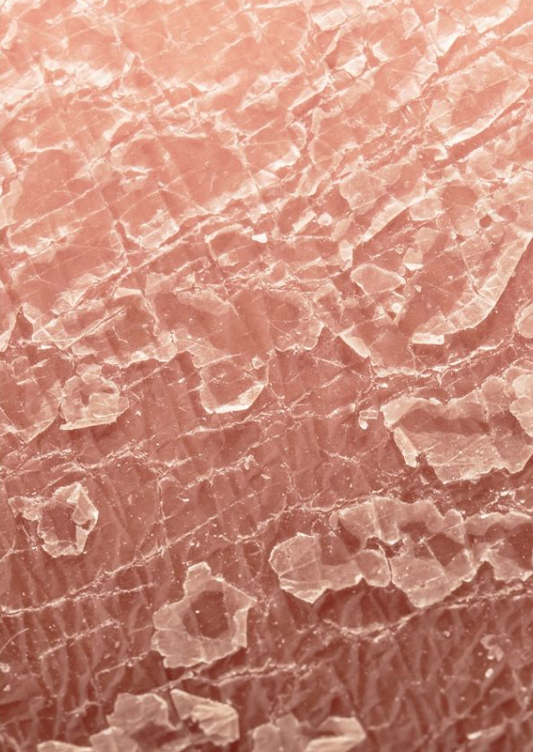 Collagen Serum for Dry Skin