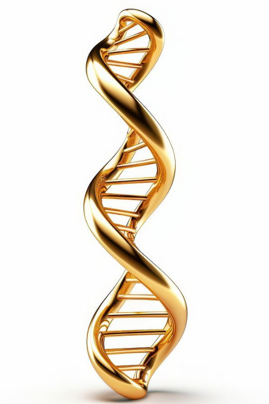 How Recombinant Collagen Is Made