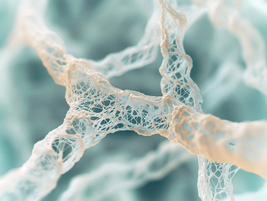 topical homologous human collagen